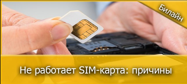 Что делать, если SIM-карта Билайн не работает