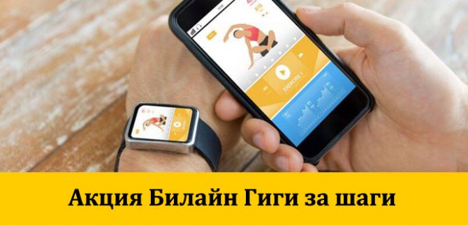 Описание новых тарифов Билайн в Йошкар-Оле (Республика Марий Эл) для телефона, планшета и модема