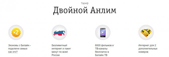 Билайн Таджикистан: сколько стоит звонок в Таджикистан, как звонить, тарифы в России и республике, офис в Душанбе