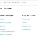 Вся Россия МегаФон: условия подключения опции
