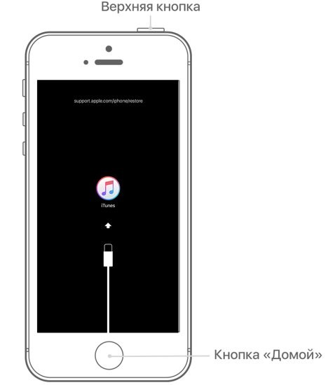 Решаем ошибку «Iphone отключен подключитесь к iTunes». IPhone отключен, подключитесь к iTunes – как разблокировать? Причины, способы решения проблемы