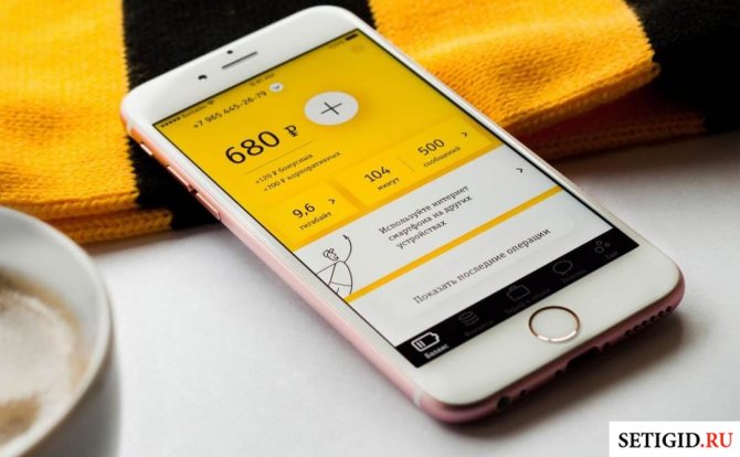 Смартфон с приложением «Мой Билайн» на брендовом шарфе