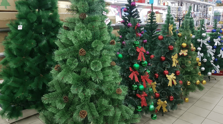 Выбор новогодней елки