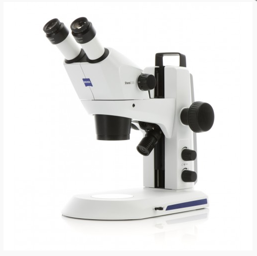 Модель Zeiss Stemi 305: стереомикроскоп с зумом 5:1